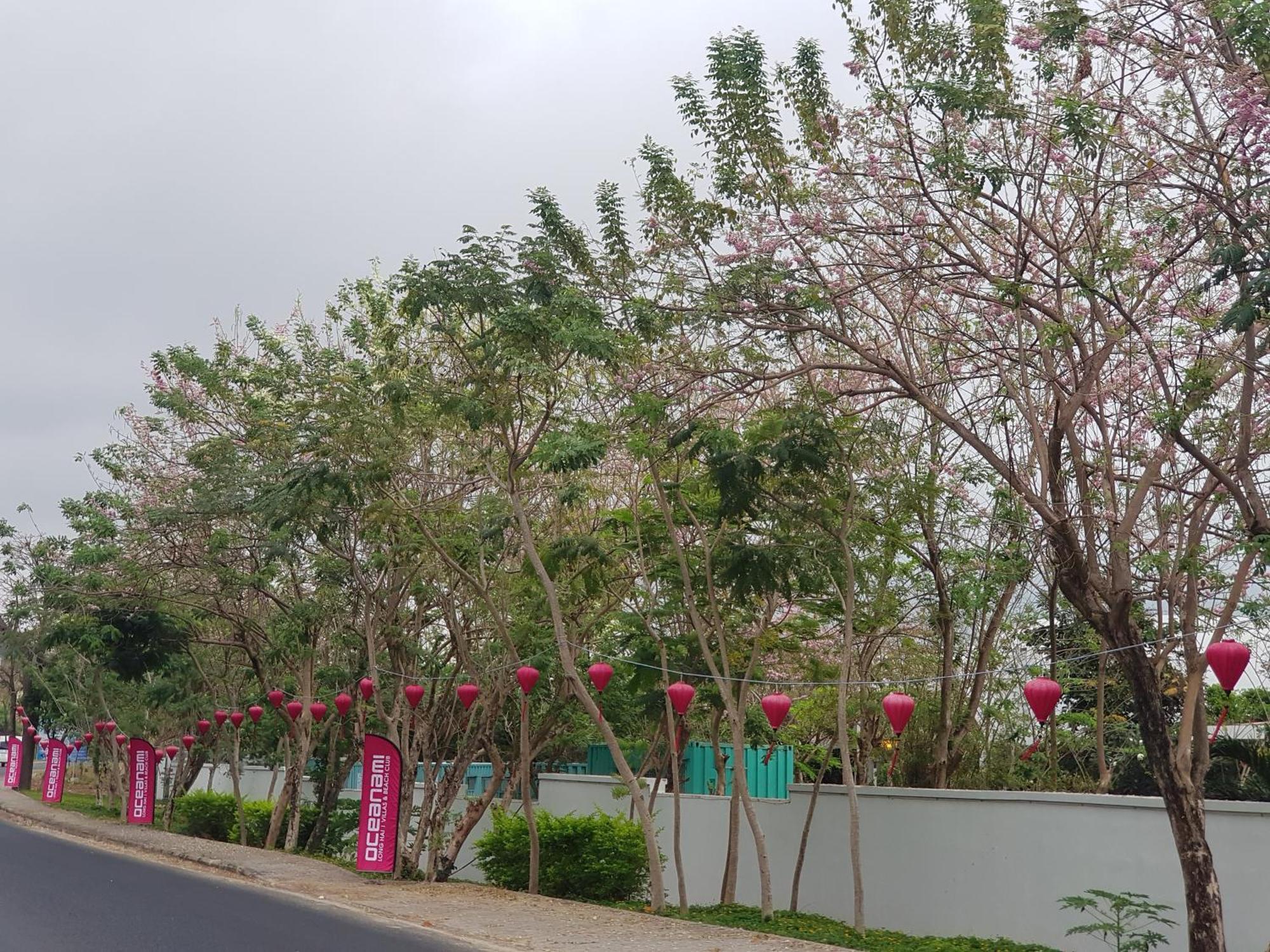 לונג האי Oceanami Resort Sea View מראה חיצוני תמונה