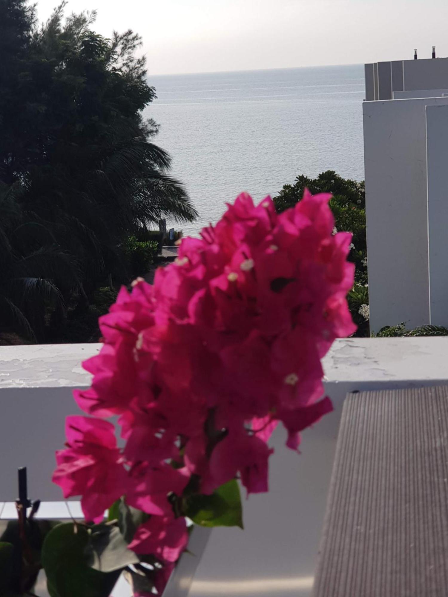 לונג האי Oceanami Resort Sea View מראה חיצוני תמונה