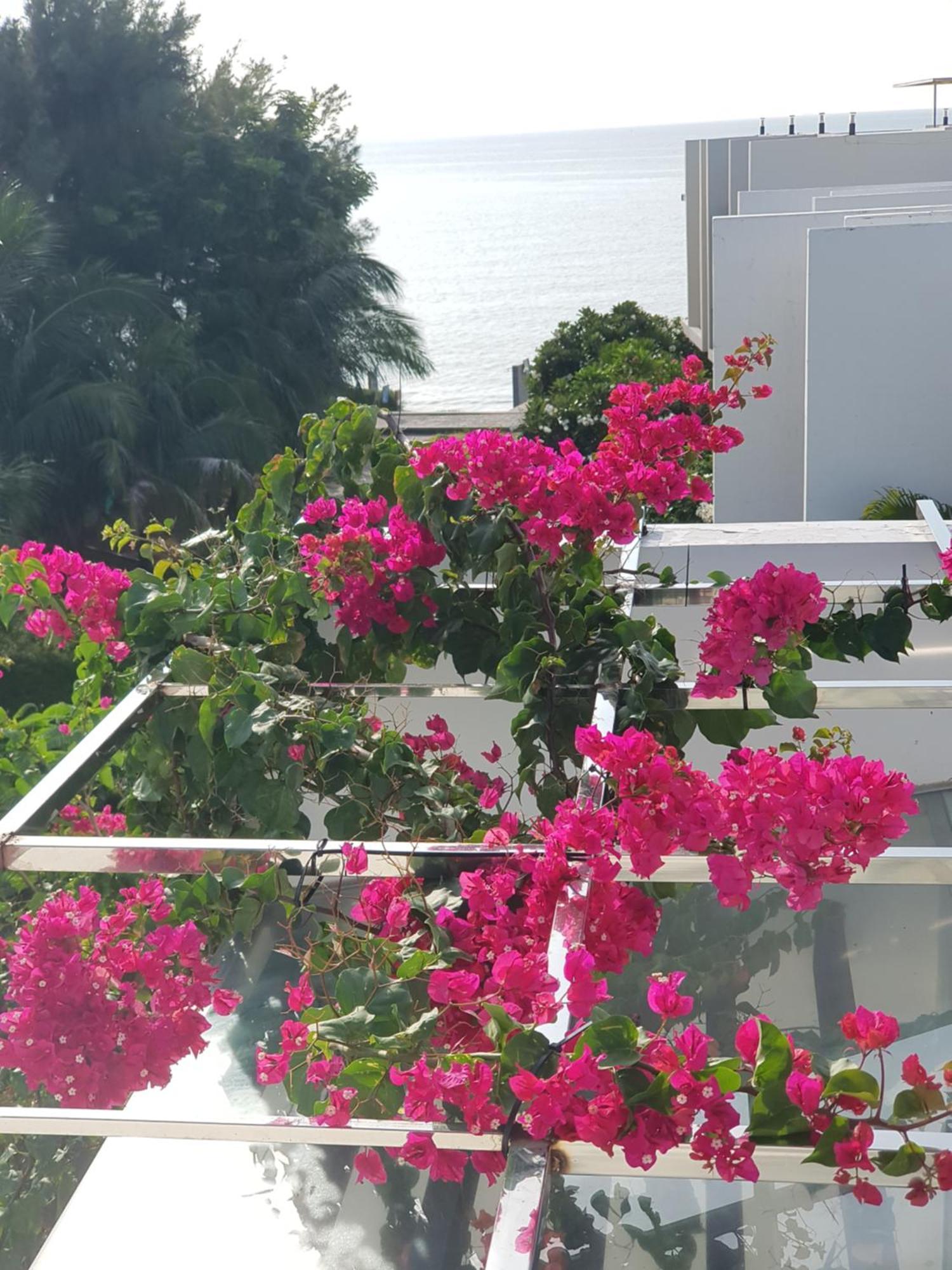 לונג האי Oceanami Resort Sea View מראה חיצוני תמונה